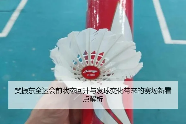 樊振东全运会前状态回升与发球变化带来的赛场新看点解析
